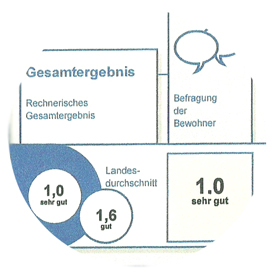 Bewertungsicon